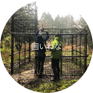 囲いわな